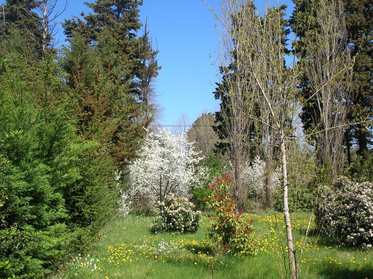 Le Mas De La Cigale Bleue, Caumont Sur Durance Zewnętrze zdjęcie